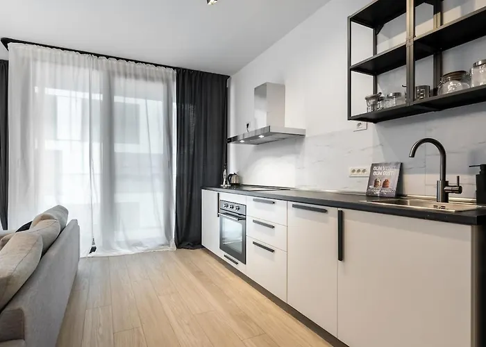 Elegance In Win Herastrau - King Bed * Bucharest
